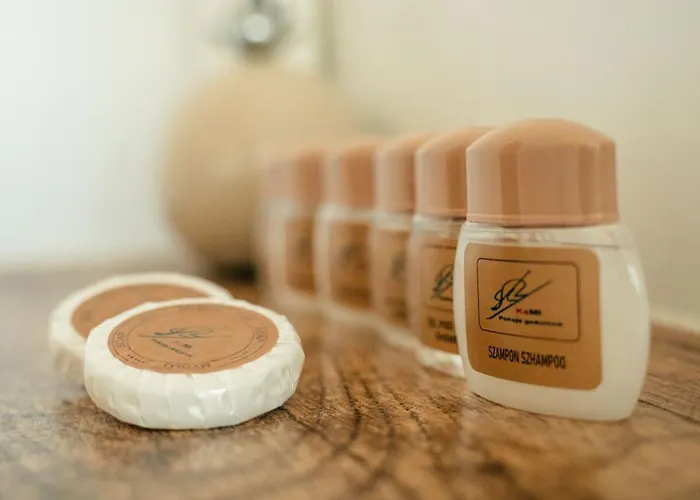 Goscinne Kami בית אירוח זקופאנה